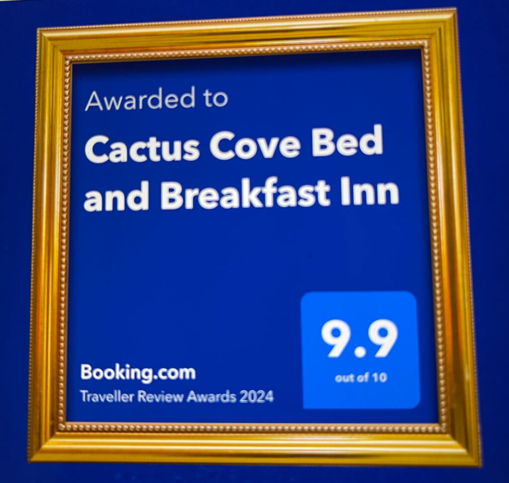 a award certificate from booking.com